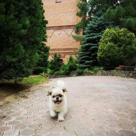 Zamek Ostrowski * Chojnik