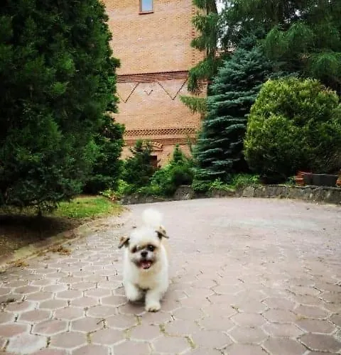 Zamek Ostrowski * Chojnik